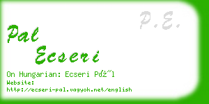 pal ecseri business card